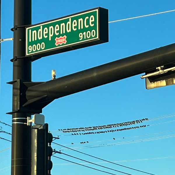Perfectly-spaced birds on a wire at a traffic intersection with an Independence Ave. street sign in the foreground