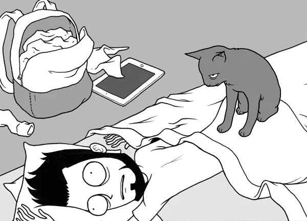 Cat Throwing Up